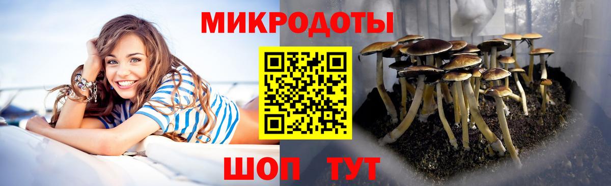 купить закладку  Вход с VPN  Псилоцибиновые грибы прущие грибы  Саянск  Галлюциногенные грибы MAGIC MUSHROOMS 